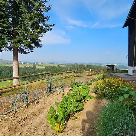 Winklergut Hideaway Individual With Breakfast 팜스테이 Iglbach
